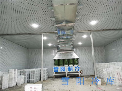 速凍冷庫的制冷方式有哪些