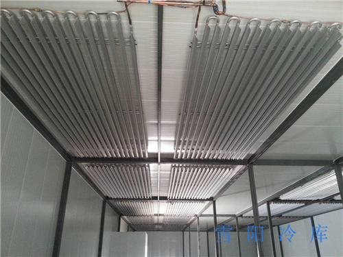 云南冷藏庫要怎么選擇建造地址