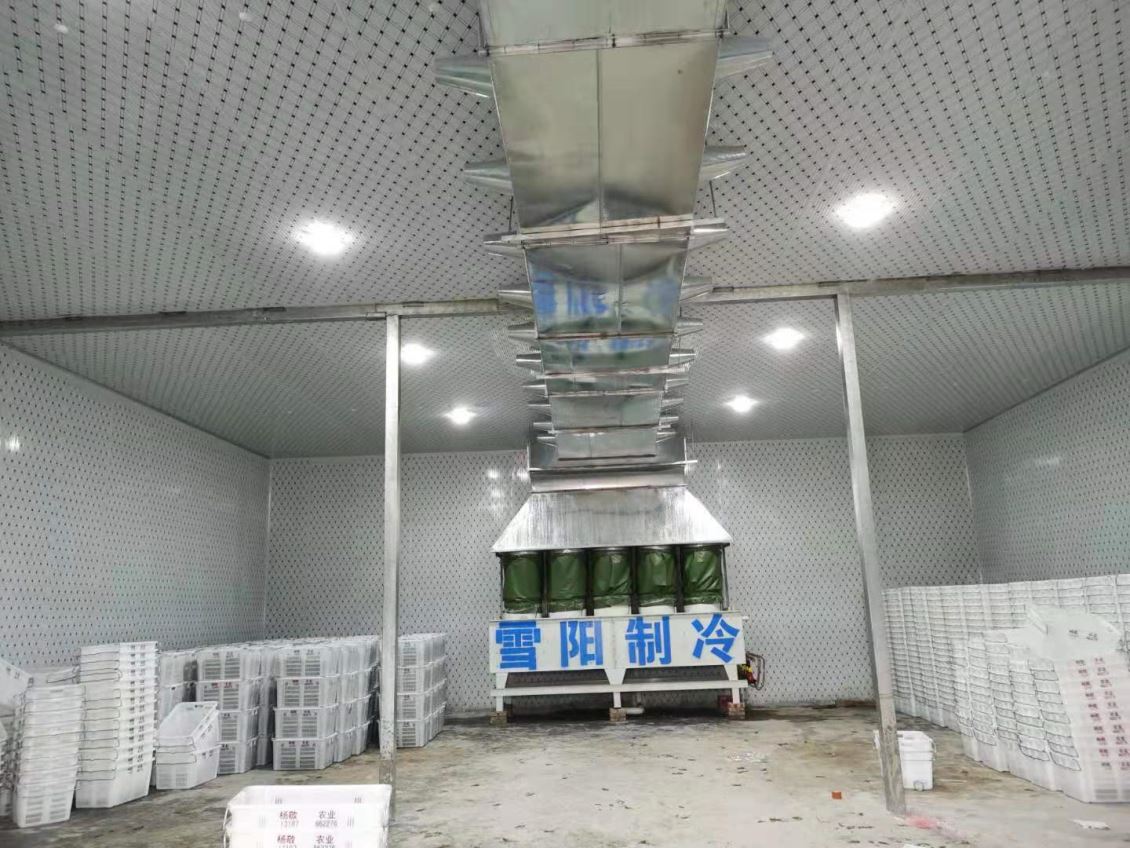 楚雄蔬菜冷庫要采取哪些制作工藝