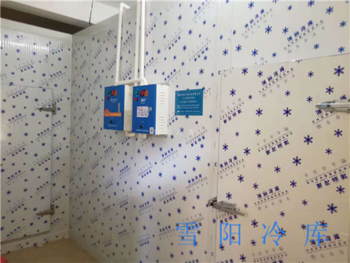 果蔬保鮮難？專業(yè)楚雄保鮮冷庫為您解憂！