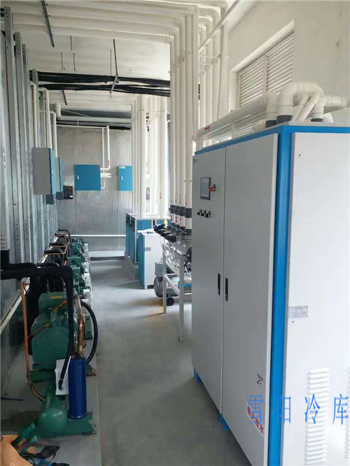 云南氣調冷庫為何成為現代農業(yè)的必備基礎設施